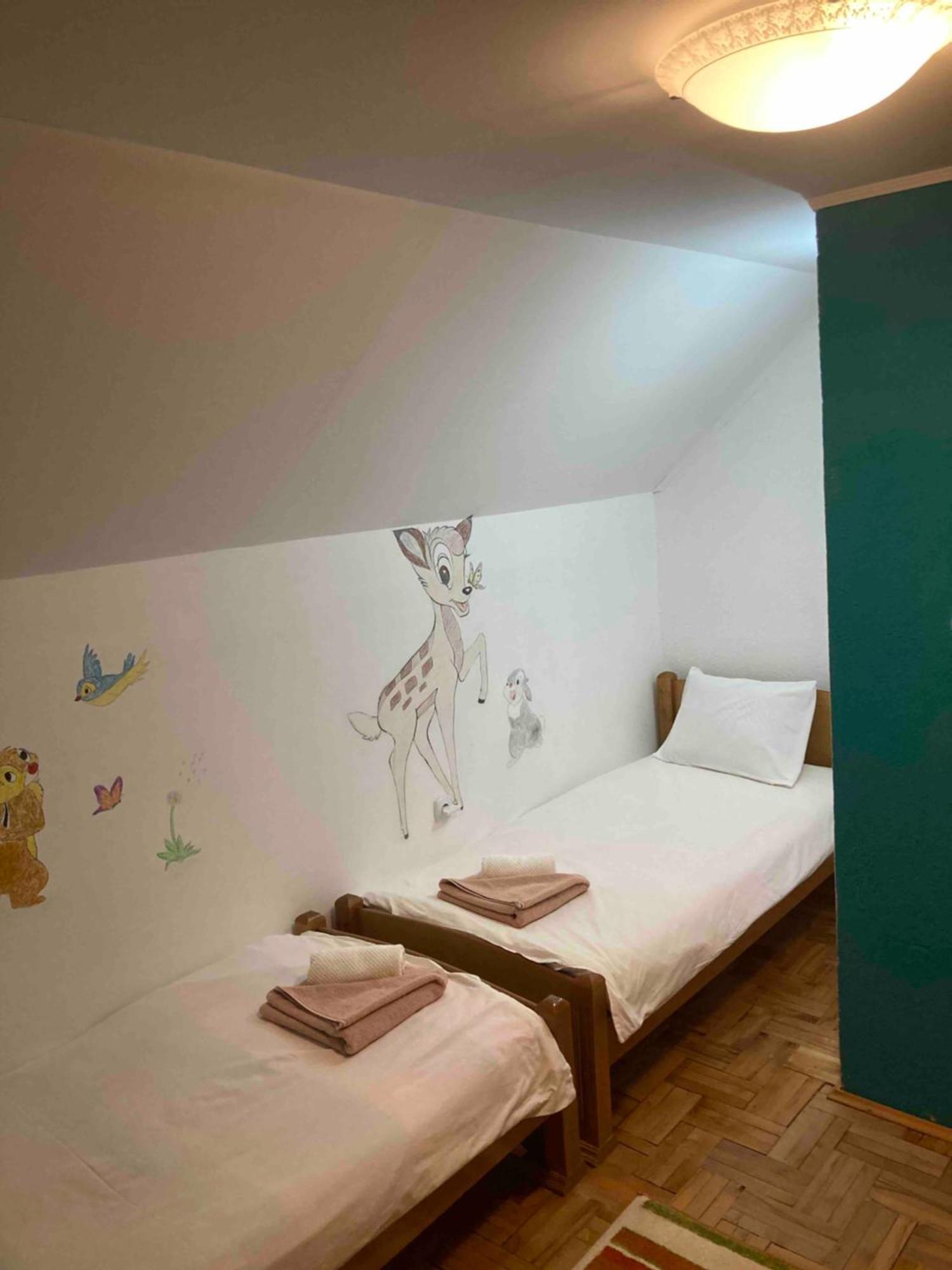Guest House Nena Žabljak エクステリア 写真